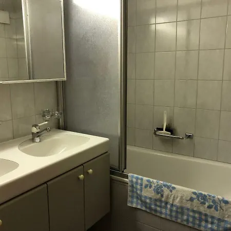 アパート Abitaziun Silvia Sur Baselgia *